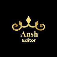 Image result for Ansh Logo 3D