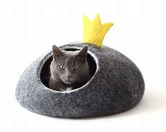 Image result for Cute Cat Crown Bed