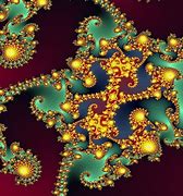 Image result for fractal shape nature