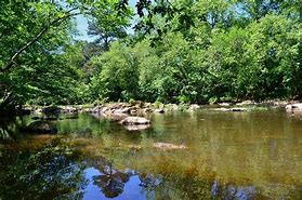 Image result for White Pines Nature Preserve