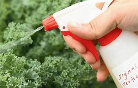 Image result for Organic Pesticides