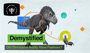 Image result for Dinosaur Feathers