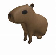 Image result for Capybara Shirt Roblox