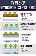 Image result for Hyroponics Layout