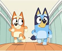 Image result for Bluey Captain