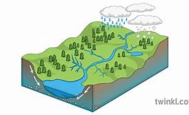 Image result for River System Diagram