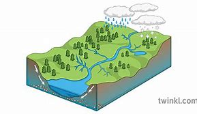 Image result for Drainage Basin Diagram Geography