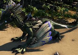 Image result for Rock Drake Saddle Ark