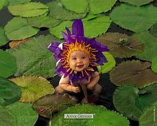 Image result for Anne Geddes Baby Photos