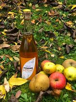 Image result for Jus De Pomme Dessin Normand