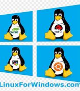 Image result for Linux Windows Logo