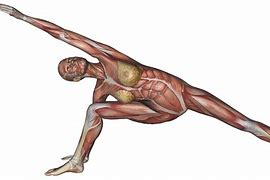 Image result for Side Angle Pose Yoga