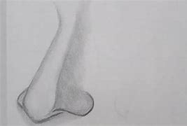 Image result for Shaded Nose Drawing