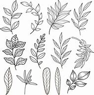 Image result for Leaf Line Art for Beginners