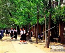 Image result for Korea Middle School