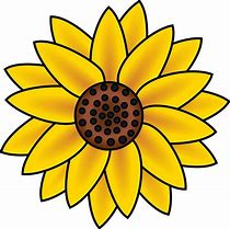 Image result for Sunflower Image Clip Art No Background