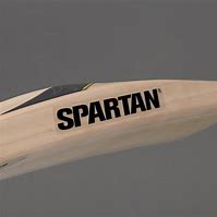 Image result for Spartan Boss Cricket Bat