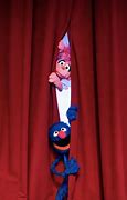 Image result for Sesame Street The Emperor's New Fur