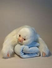 Image result for Albino Baby Sloth