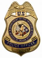 Image result for police officer badge