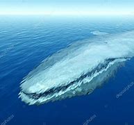 Image result for Whale Stock Image