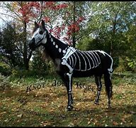 Image result for SCP Skeleton Horse