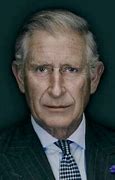 Image result for King Charles III Official Portrait