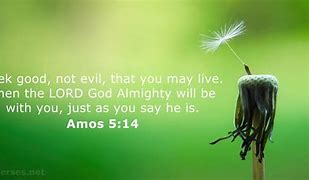 Image result for Amos 3:8