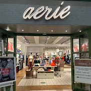 Image result for Aerie Bag