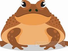 Image result for Flat Brown Frog