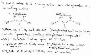 Image result for Butylamine