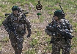 Image result for Royal Marines Commando Rifle