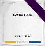 Image result for Lottie Cole Artist