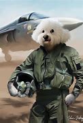 Image result for Dog Fighter Plane