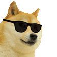 Image result for Doge Emoji Discord