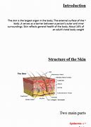 Image result for Skin-Check Assessment