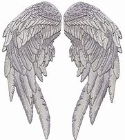 Image result for Angel Wings Shadow