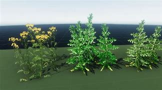 Image result for PBR Grass