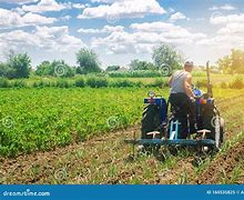 Image result for Farming Stock Image