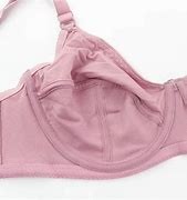 Image result for Plus Size Bra Set