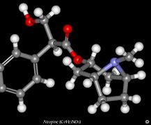 Image result for Atropine Compound