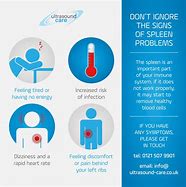 Image result for Spleen Disease Symptoms