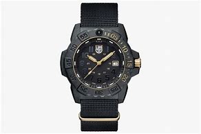 Image result for Luminox Blackbird Band