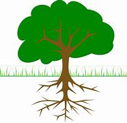 Image result for Roots ClipArt