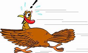 Image result for Animated Turkey