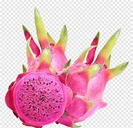 Image result for Gambar Buah Naga Kartiun