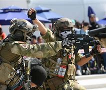 Image result for HK 416 American