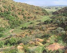 Image result for Suikerbosrand Nature Reserve