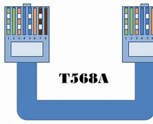 Image result for Cat6 White