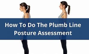 Image result for Plumb Line On Human Body